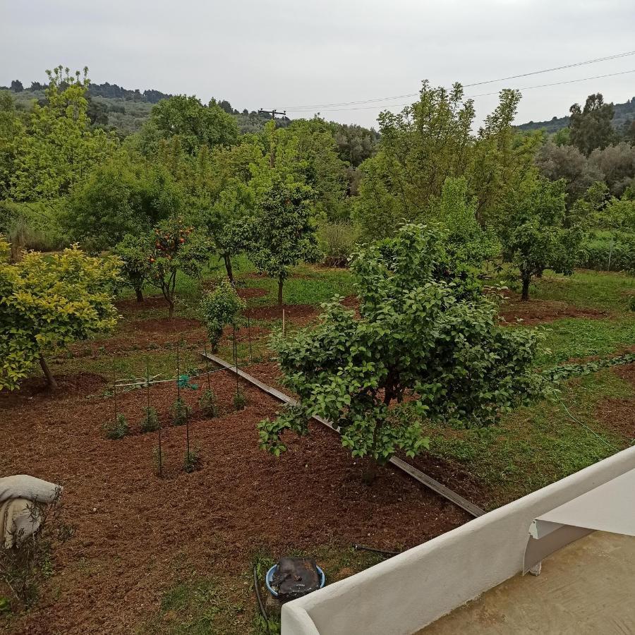 - τίνα