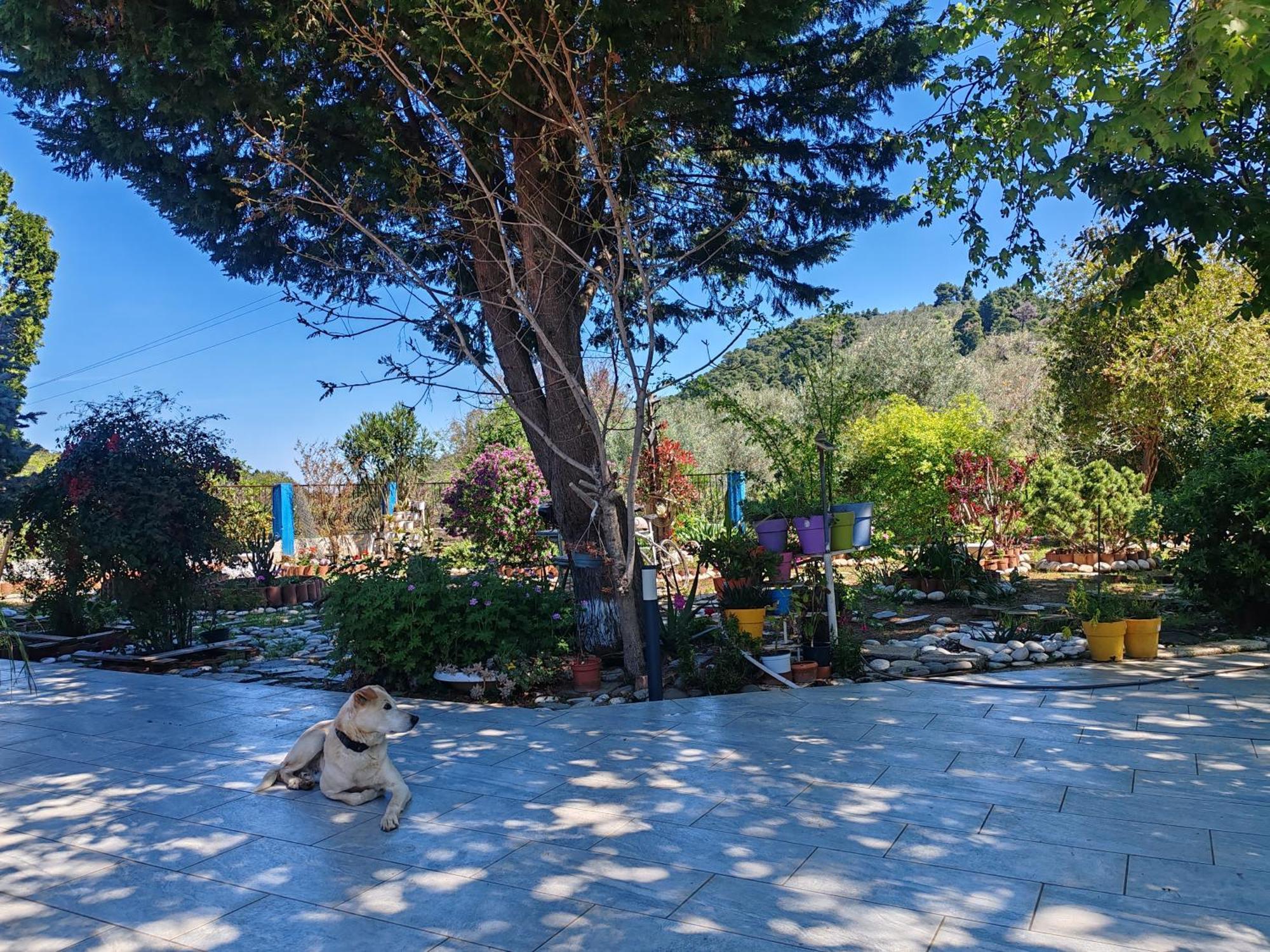 Hébergement de vacances - τίνα Líri